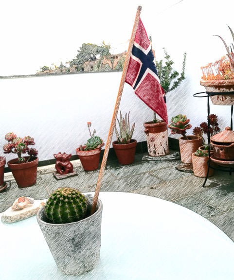 Norwegian in the south. Photo © Karethe Linaae